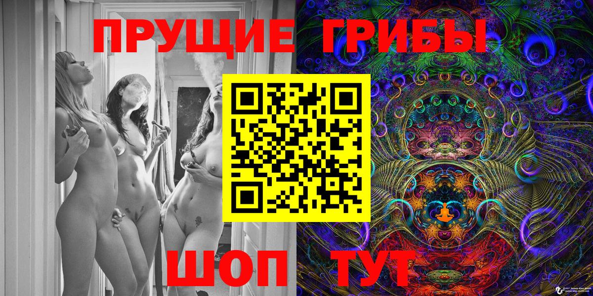 Галлюциногенные грибы Psilocybine cubensis Большой Камень
