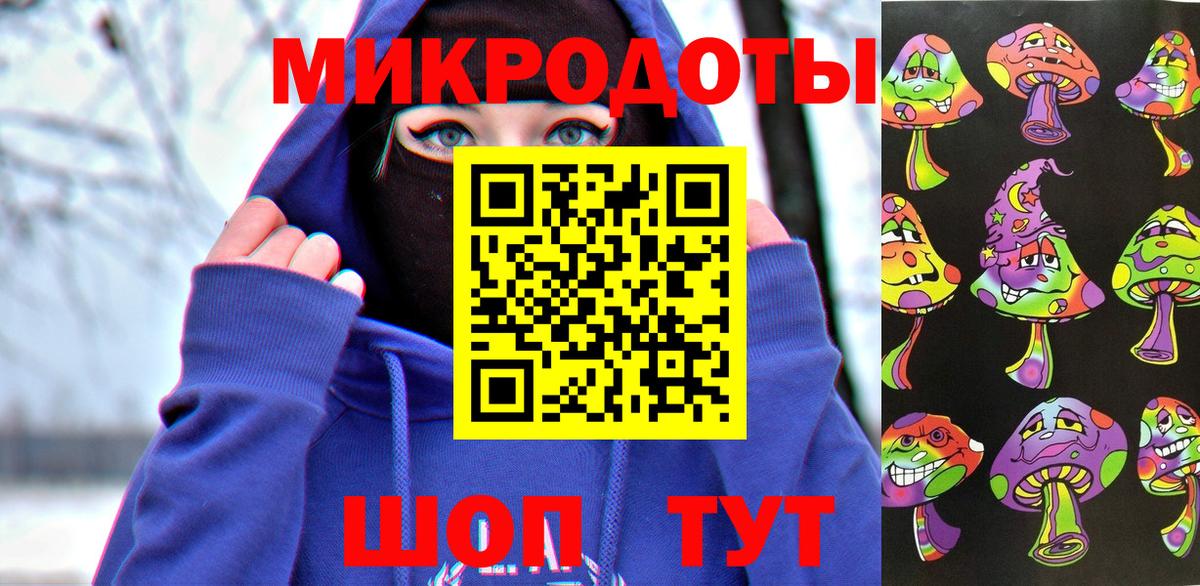 Большой Камень  как найти закладки  Вход с VPN  Галлюциногенные грибы Psilocybine cubensis 
